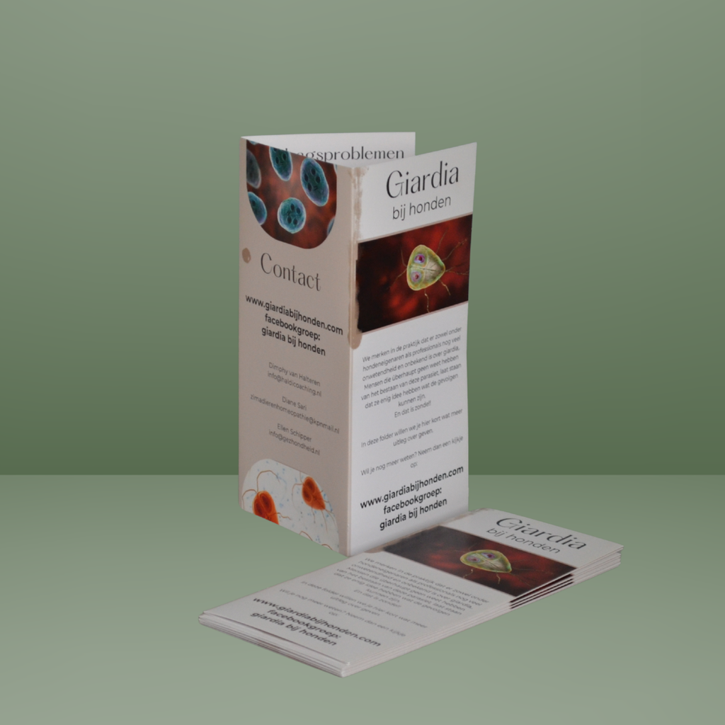 Folder giardia (Haldi Coaching) 